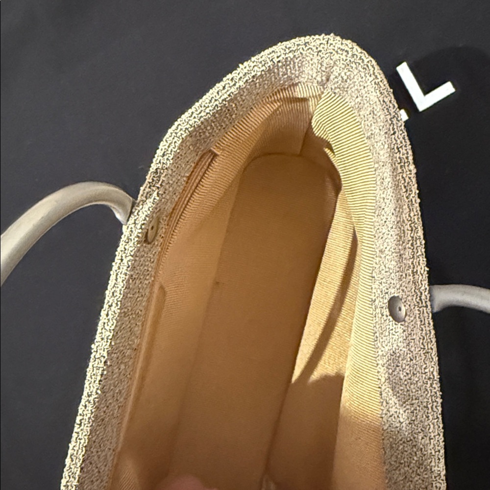 CHANEL Taupe Mini Tote with Brushed Silver Handles - Picture 12 of 14